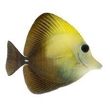 SCOPAS TANG