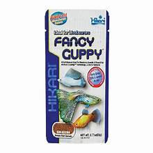 Hikari Fancy Guppy